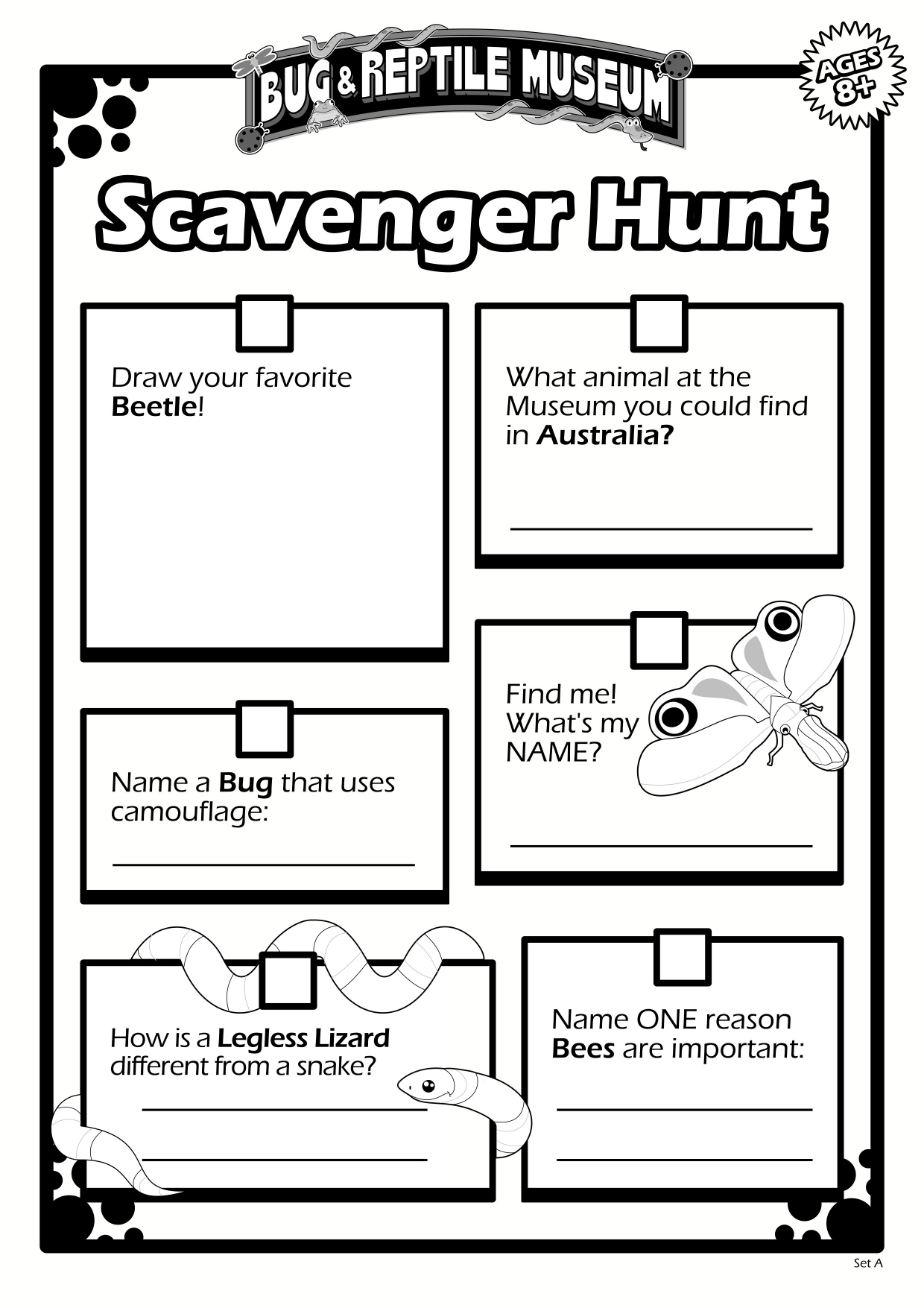 Scavenger Hunt 8A