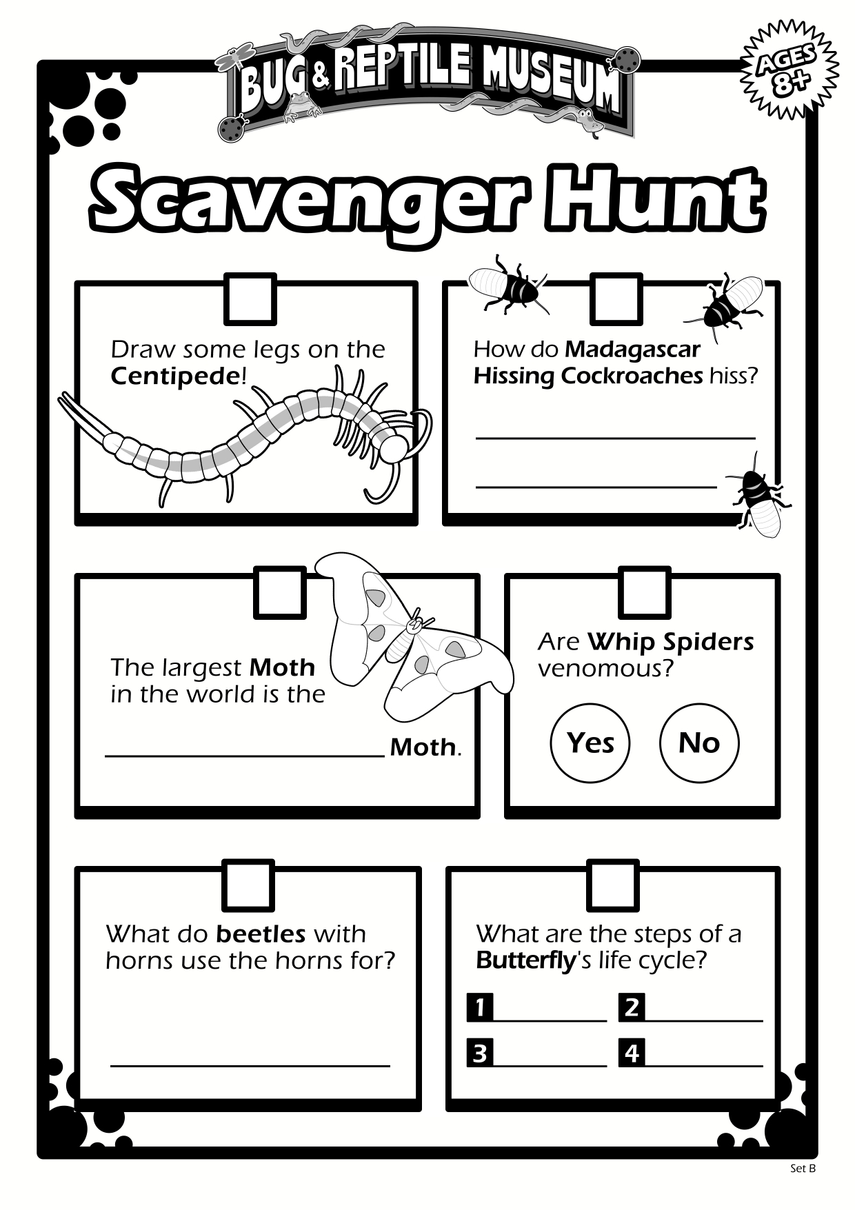 Scavenger Hunt 8B