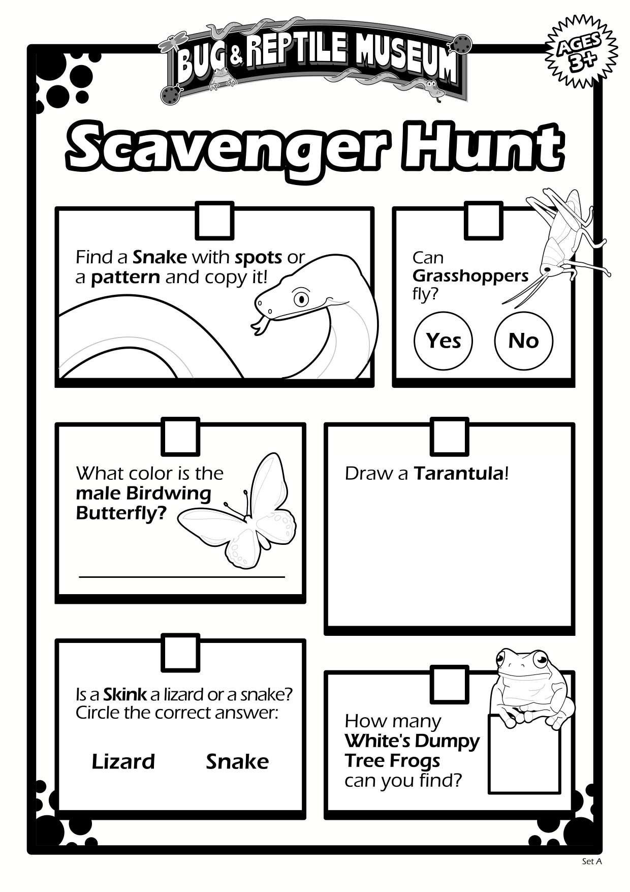 Scavenger Hunt 3A